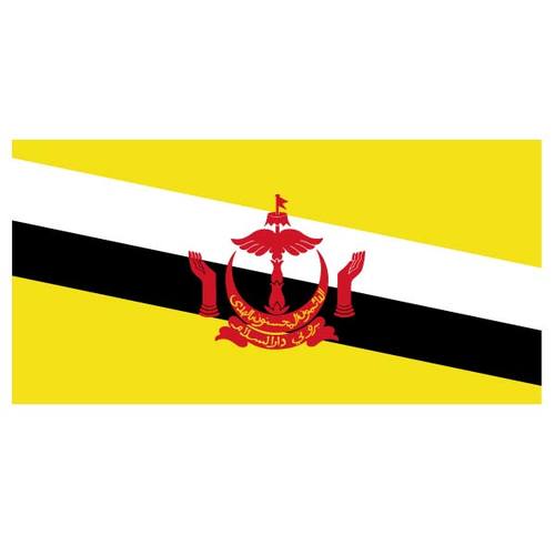 Vector flag of Brunei
