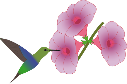Ave Colibri recogiendo en una ilustraciÃ³n de la flor