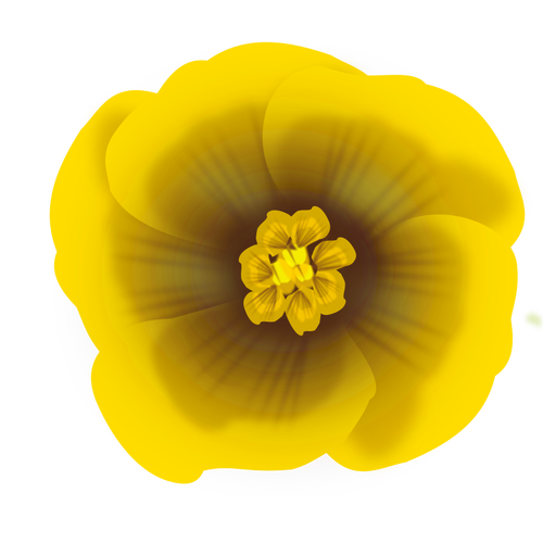 Nydelig gul blomst