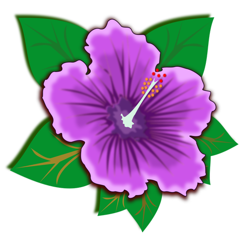 Floare violet cu frunze