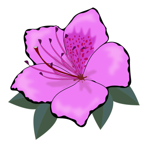 Flor rosa clip arte grÃ¡fica