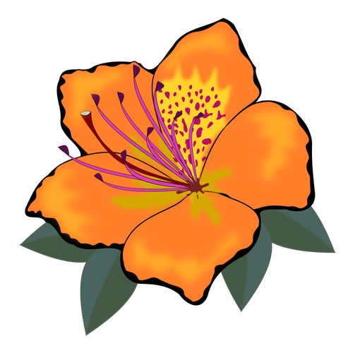 PomaraÅ„czowy kwiat z liÅ›ci