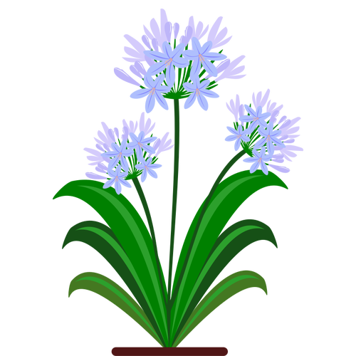 Vector de flores de color azul la imagen
