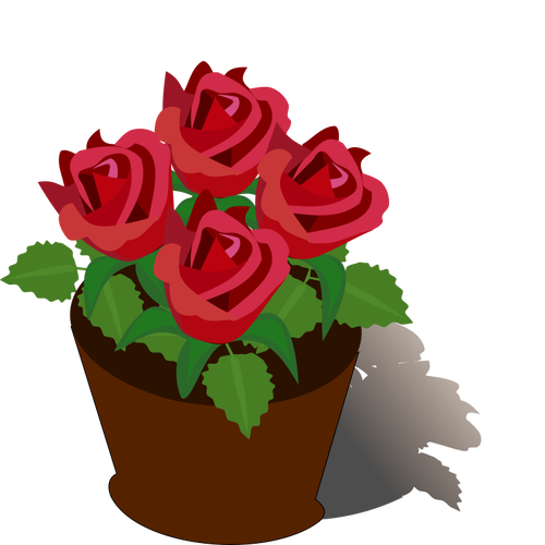 Rosas rojas en una olla