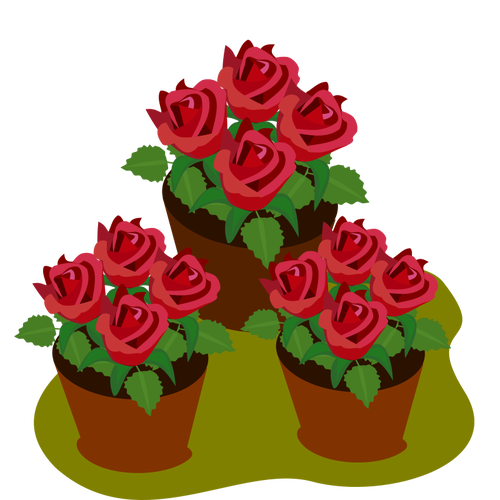 Pots avec des roses