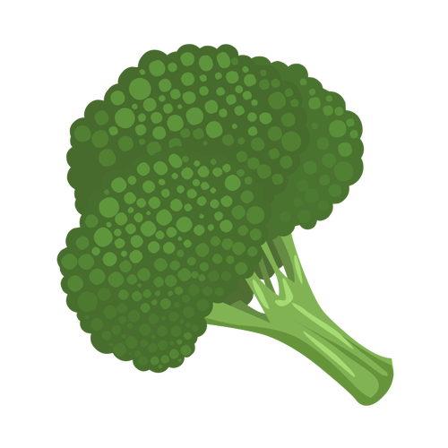 ZelenÃ© brokolice