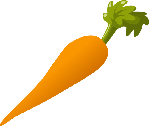 VÃ©gÃ© carotte