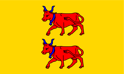 Vlajka regionu Bearn Vektor Klipart
