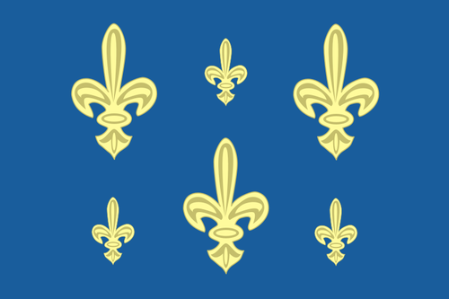 Franske marinen flagget vektor bilde
