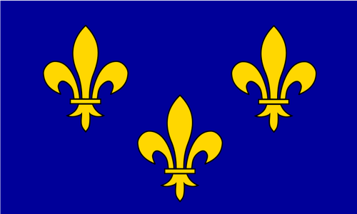 W regionie ÃŽle-de-France flaga grafika wektorowa