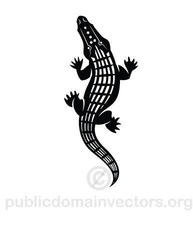 Aligator vector imagine