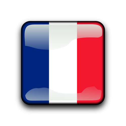 Guyana Perancis bendera tombol