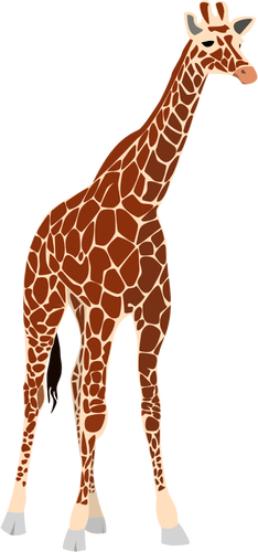 Illustrazione vettoriale di alta giraffa marrone