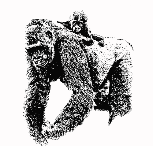 Matka a dÃ­tÄ› gorila