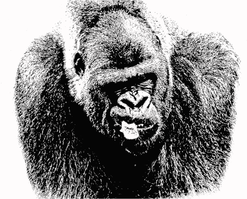 Gorilla drawing