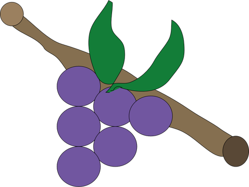 Paarse druiven vector tekening