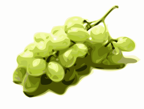 Imagen de uvas verdes estilizadas
