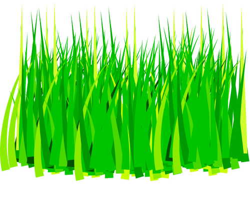 Bladeren van gras van de lente