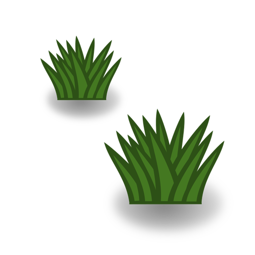 Dois arbustos de grama