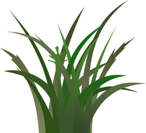 Image clipart vectoriel herbe sombre