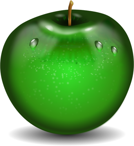 Ilustracja wektorowa fotorealistyczne zielone jabÅ‚ko mokre