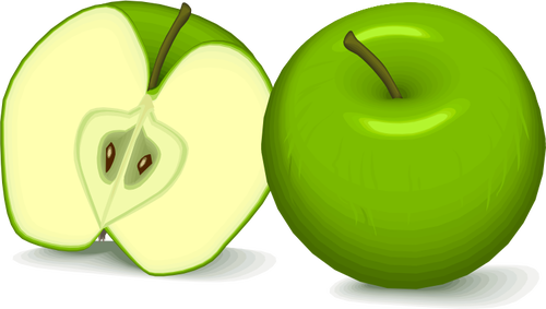 ZelenÃ¡ jablka vektorovÃ½ obrÃ¡zek