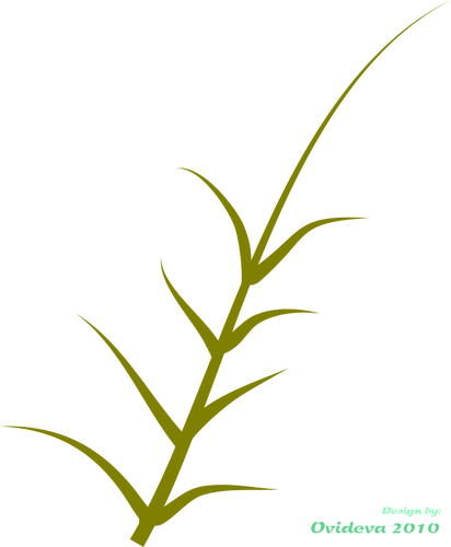 Grafica vectoriala de planta verde Ã®n creÅŸtere la partea