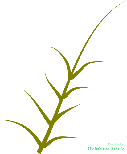 Grafica vectoriala de planta verde Ã®n creÅŸtere la partea