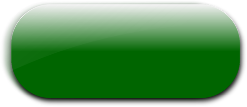 Horizontal pill shaped green button vector image