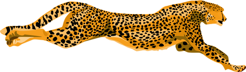 Leopard Gepard-Vektor-Bild