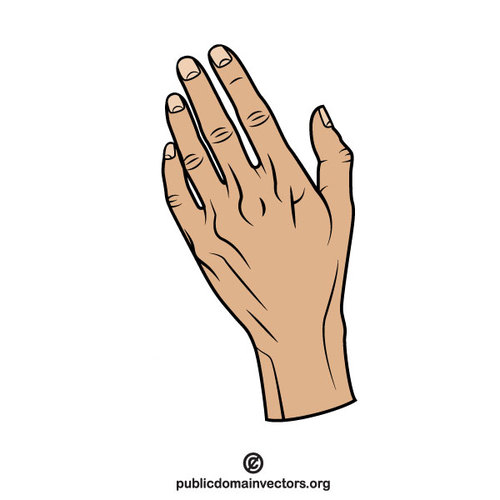 Menselijke hand vector illustraties