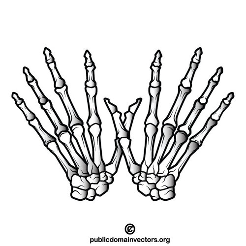 Esqueleto de manos