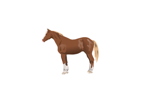 Cavallo marrone