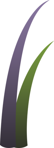 Vector il disegno della pianta di llmenskie viola e verde