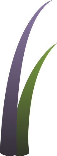 Vector il disegno della pianta di llmenskie viola e verde
