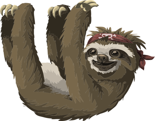 Sloth bilde