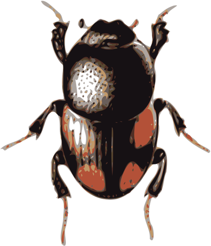 Kumbang scarab