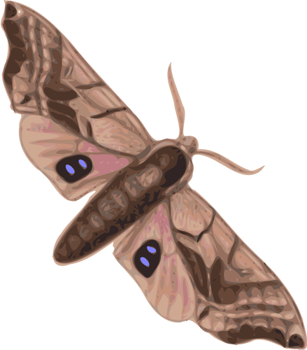 Moth ovanifrÃ¥n