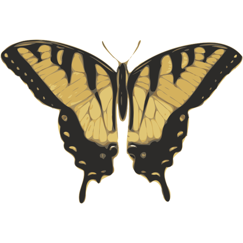 Vector bildet av tiger mÃ¸nster sommerfugl