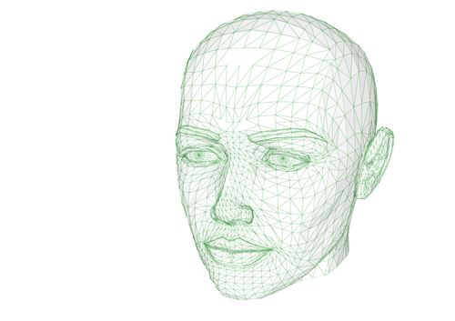 Female web head vector illustration