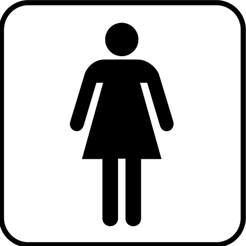 NPS-Piktogramm fÃ¼r ein Damen-Zimmer-Vektor-Bild