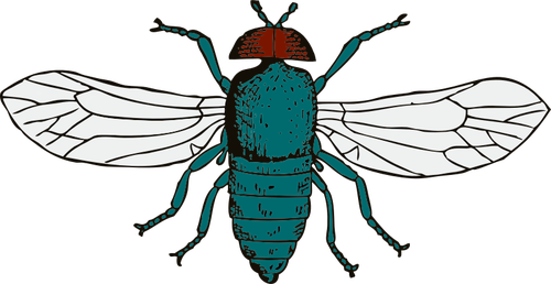 Vektor-Illustration von Bluebottle fly