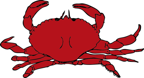 Vektorgrafiken von rote Krabbe