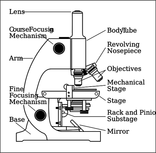 Microscoop kant vector tekening met delen geÃ«tiketteerd