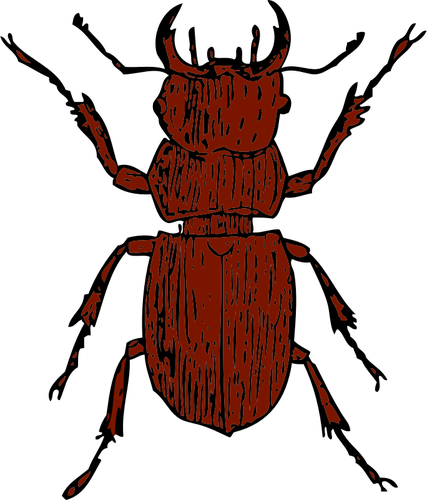 Vektor grafis dari kumbang rusa