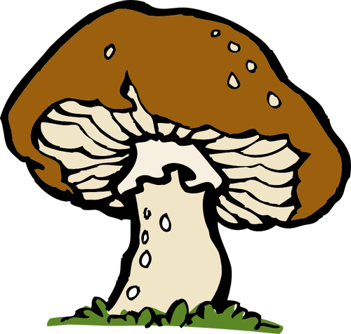 Vektorbild av en stor svamp