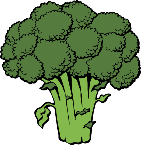 Vektorbild broccoli