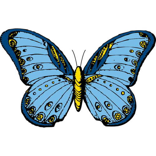 BlÃ¥ og gul sommerfugl vektorgrafikk utklipp