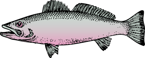 Gambar vektor ikan Sungai generik