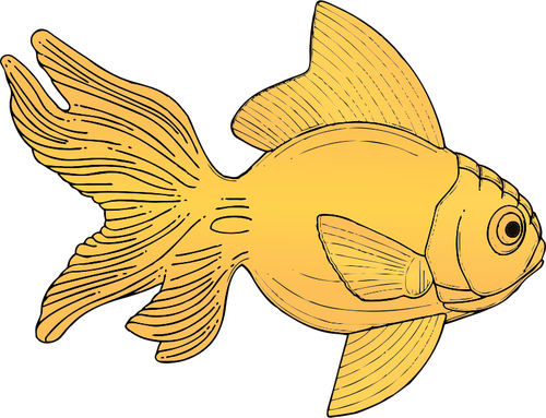 Rodzajowy pomaraÅ„czowy ryba wektor ilustracja